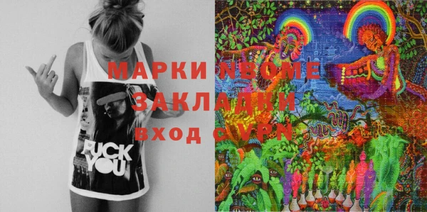 прущие грибы Балабаново