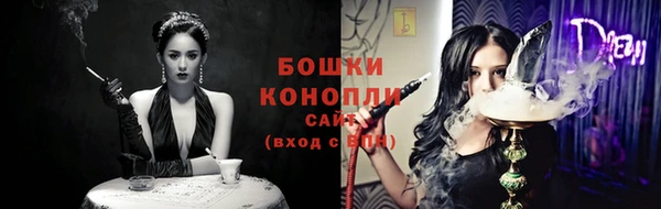 прущие грибы Балабаново