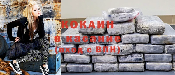 прущие грибы Балабаново