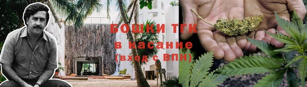 прущие грибы Балабаново